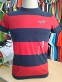 Camiseta Hollister