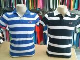 Polo Hollister